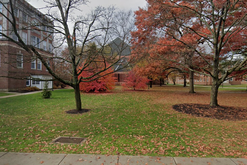 office image